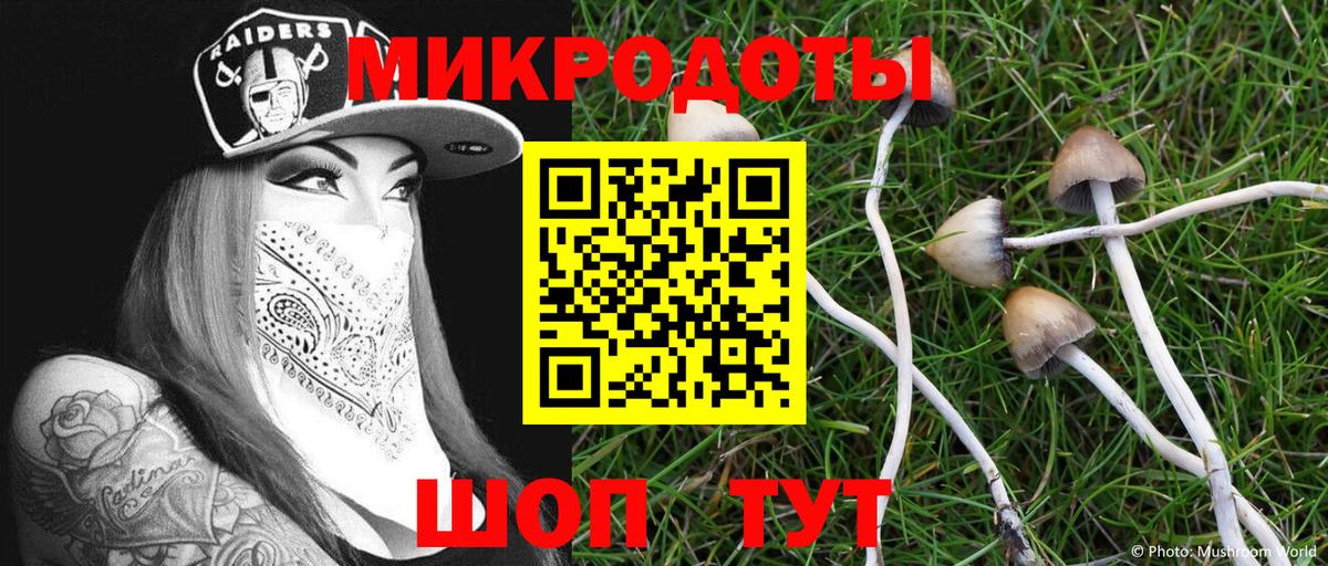 Зерноград  Галлюциногенные грибы MAGIC MUSHROOMS  Вход с VPN 